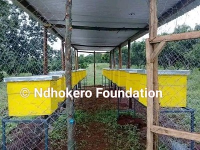 Langstroth Bee Hives House