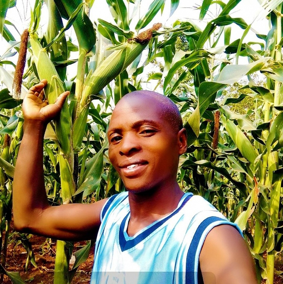 Our maize demo garden