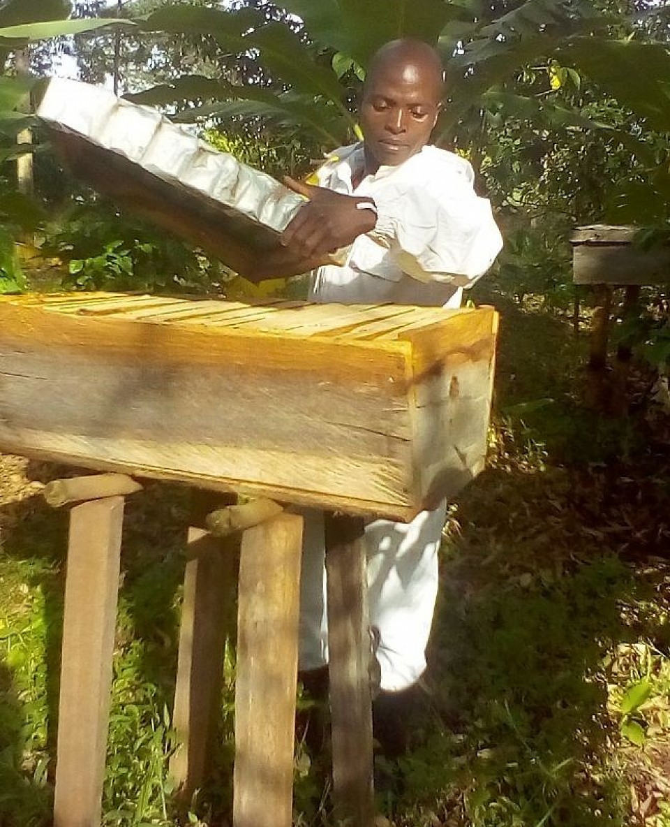 Periodical maintenance of KTB hives