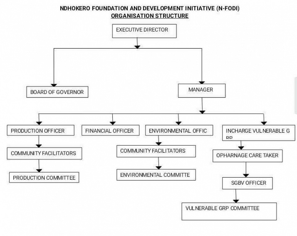 Our Organizational Structure